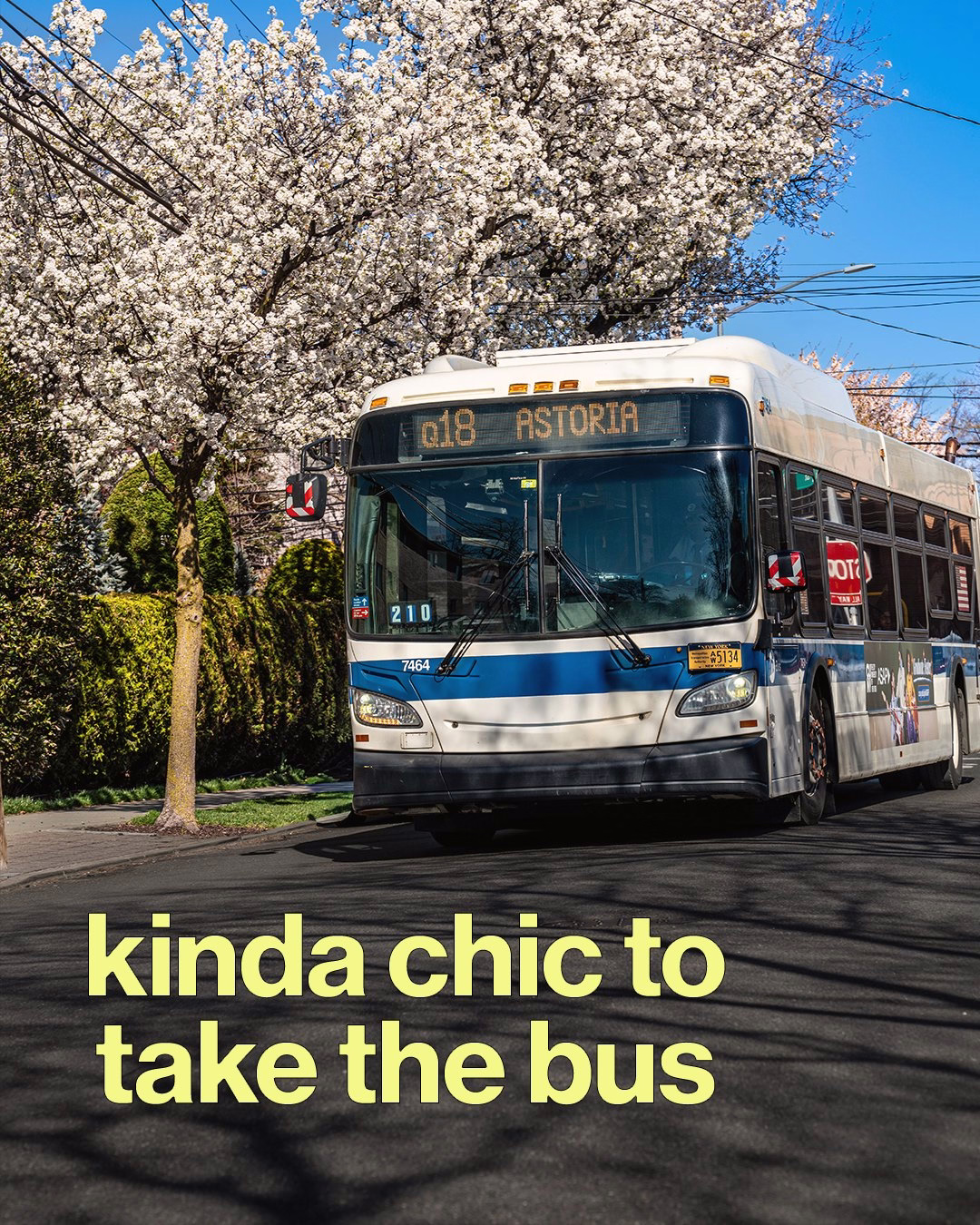 image of bus with "kinda chic to take the bus"