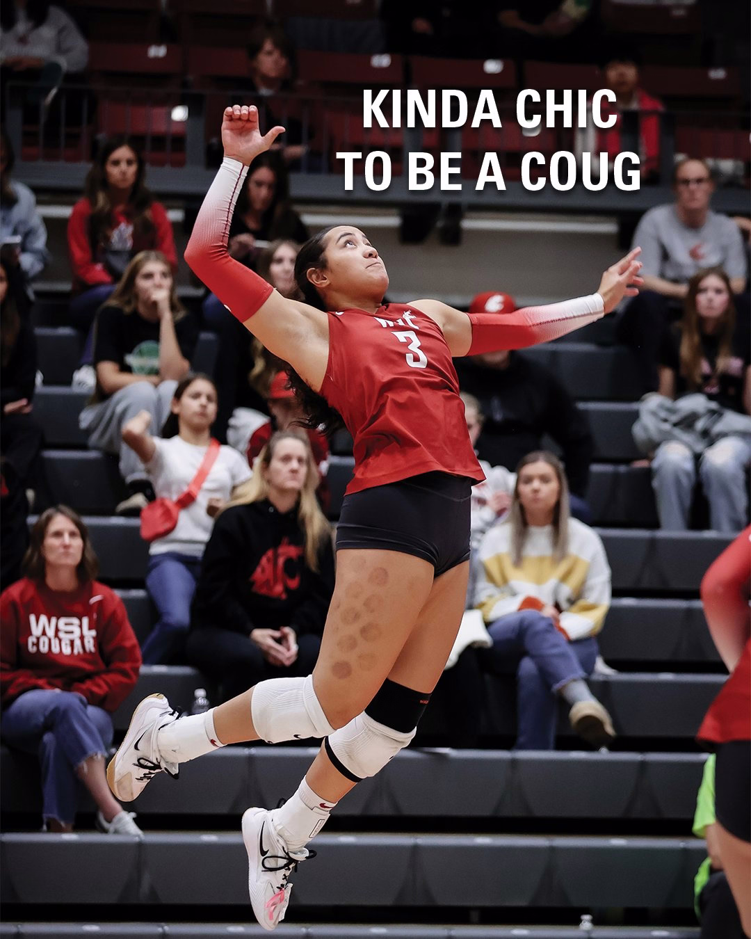 A volleyball player wearing a number 3 jersey jumps in the air during a game, with spectators seated in the bleachers and the text "Kinda Chic to be a Coug" above.