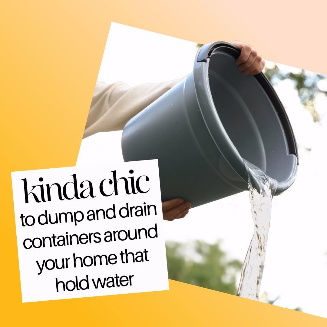 A person dumping water out of a bucket with text: kinda chic to dump and drain containers around your home that hold water.